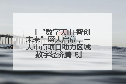 “数字天山·智创未来”盛大启幕，三大重点项目助力区域数字经济腾飞